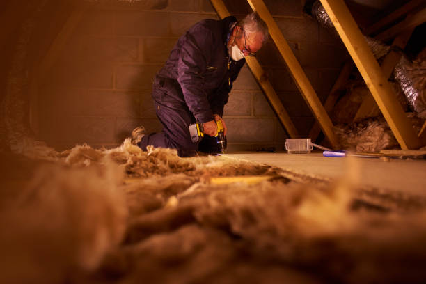 Best Insulation Installation Services in San Juan Pistrano, CA